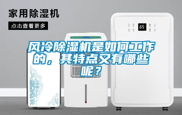 風(fēng)冷除濕機(jī)是如何工作的，其特點(diǎn)又有哪些呢？