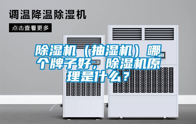 除濕機(jī)（抽濕機(jī)）哪個(gè)牌子好，除濕機(jī)原理是什么？