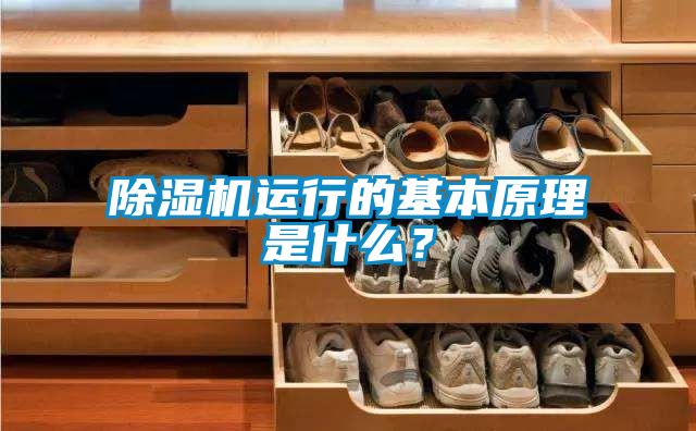 除濕機(jī)運(yùn)行的基本原理是什么？
