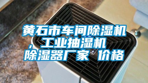 黃石市車間除濕機，工業(yè)抽濕機  除濕器廠家 價格