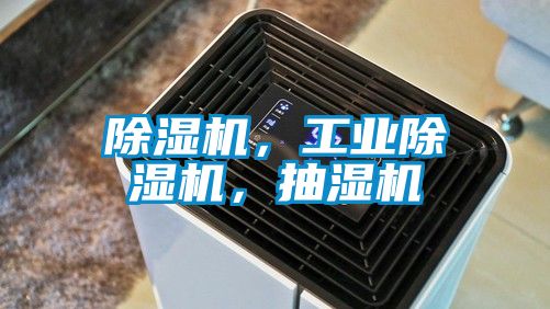 除濕機(jī)，工業(yè)除濕機(jī)，抽濕機(jī)