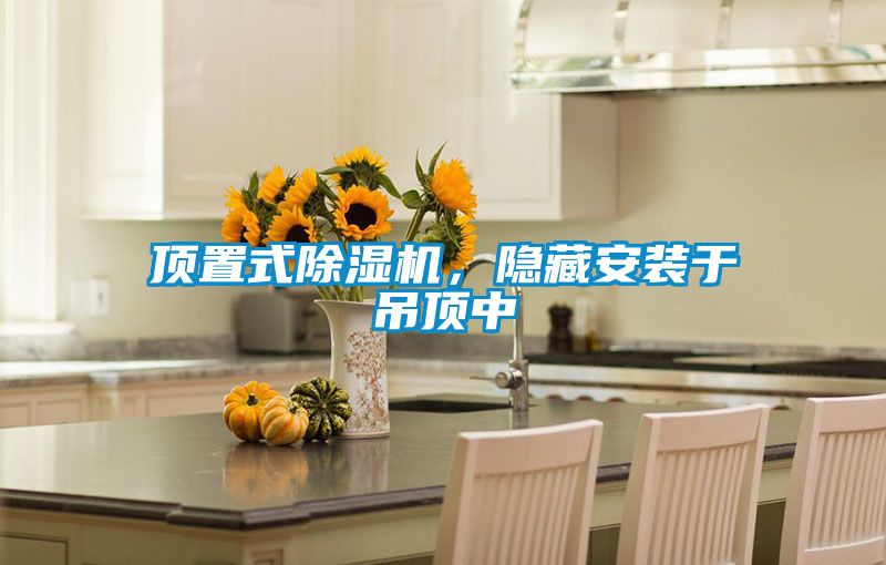 頂置式除濕機，隱藏安裝于吊頂中
