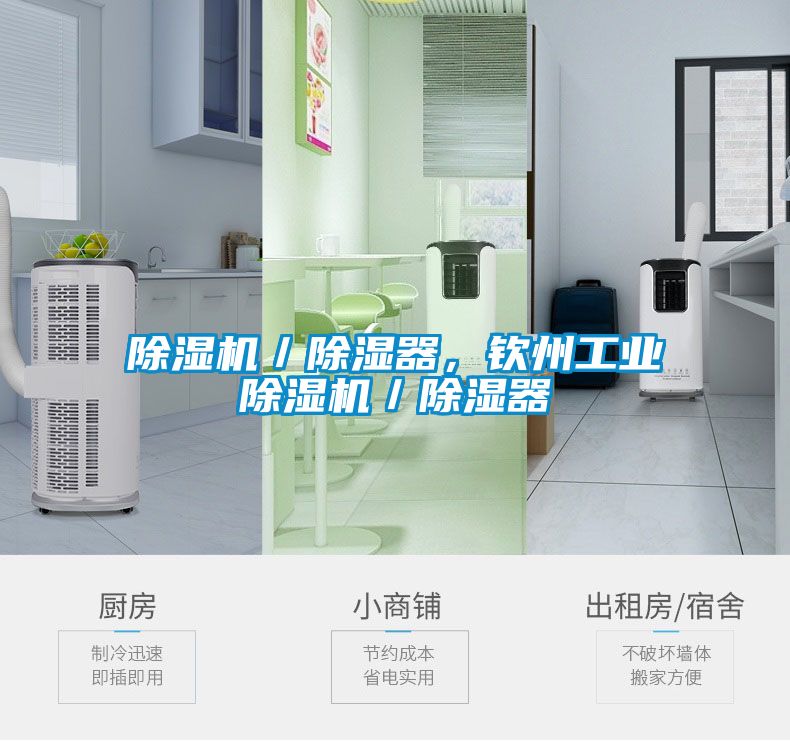 除濕機(jī)／除濕器，欽州工業(yè)除濕機(jī)／除濕器