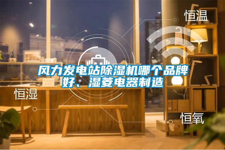 風(fēng)力發(fā)電站除濕機(jī)哪個(gè)品牌好、濕菱電器制造