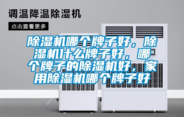 除濕機(jī)哪個(gè)牌子好，除濕機(jī)什么牌子好，哪個(gè)牌子的除濕機(jī)好，家用除濕機(jī)哪個(gè)牌子好