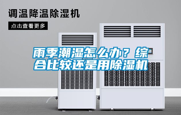 雨季潮濕怎么辦？綜合比較還是用除濕機