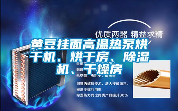 黃豆掛面高溫?zé)岜煤娓蓹C(jī)、烘干房、除濕機(jī)、干燥房