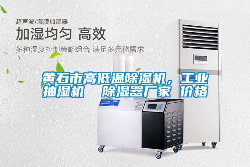 黃石市高低溫除濕機，工業(yè)抽濕機  除濕器廠家 價格