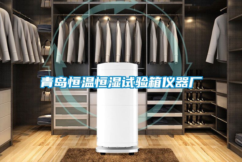 青島恒溫恒濕試驗(yàn)箱儀器廠(chǎng)