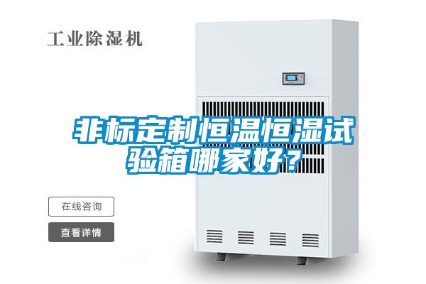 非標定制恒溫恒濕試驗箱哪家好？