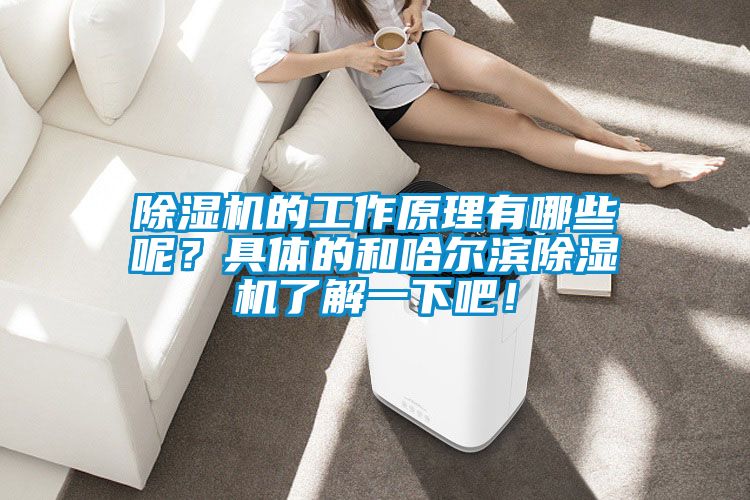 除濕機(jī)的工作原理有哪些呢？具體的和哈爾濱除濕機(jī)了解一下吧！
