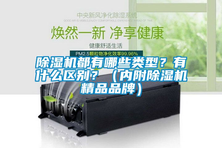 除濕機(jī)都有哪些類型？有什么區(qū)別？（內(nèi)附除濕機(jī)精品品牌）