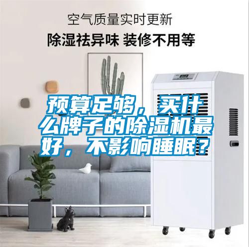 預算足夠，買什么牌子的除濕機最好，不影響睡眠？