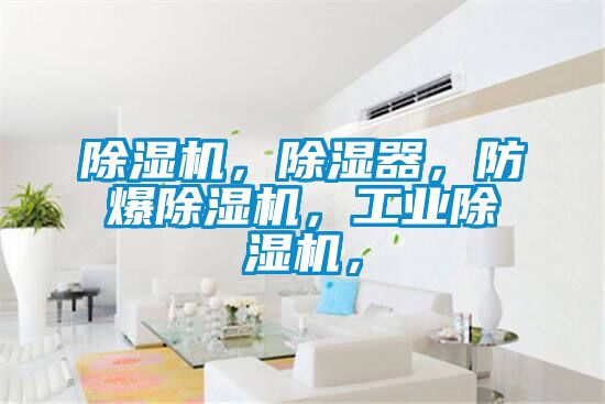 除濕機(jī)，除濕器，防爆除濕機(jī)，工業(yè)除濕機(jī)，