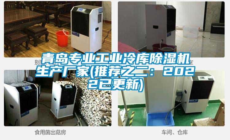青島專業(yè)工業(yè)冷庫(kù)除濕機(jī)生產(chǎn)廠家(推薦之二：2022已更新)