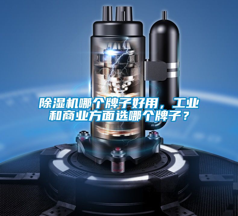 除濕機哪個牌子好用，工業(yè)和商業(yè)方面選哪個牌子？