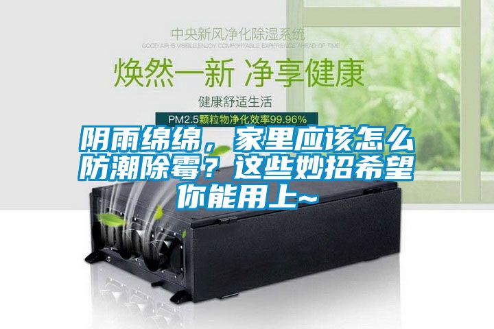 陰雨綿綿，家里應(yīng)該怎么防潮除霉？這些妙招希望你能用上~