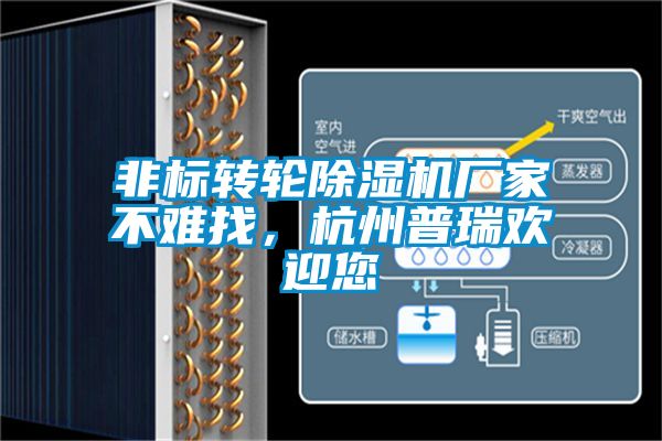 非標轉輪除濕機廠家不難找，杭州普瑞歡迎您