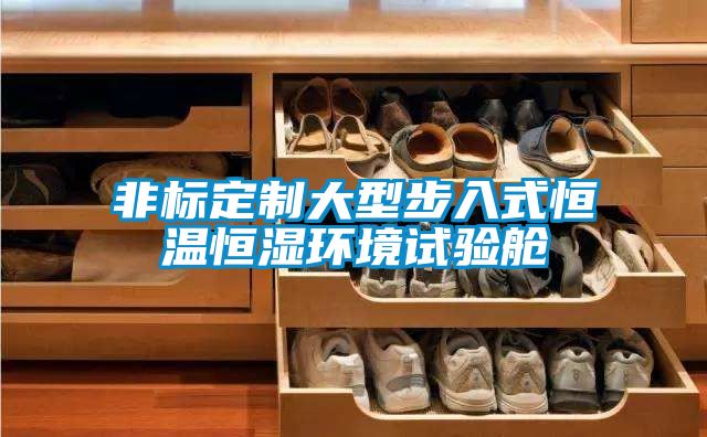 非標定制大型步入式恒溫恒濕環(huán)境試驗艙