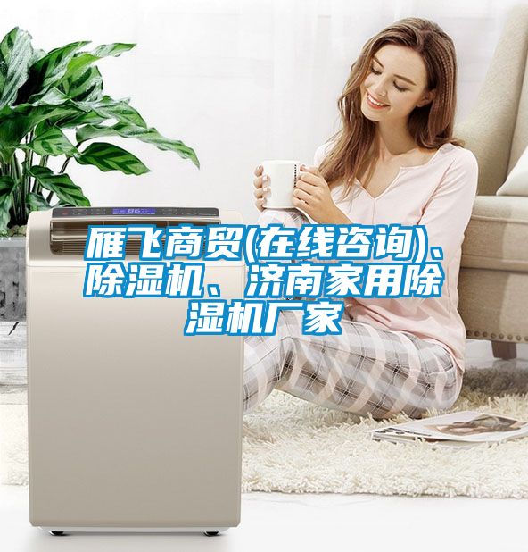 雁飛商貿(mào)(在線咨詢)、除濕機(jī)、濟(jì)南家用除濕機(jī)廠家