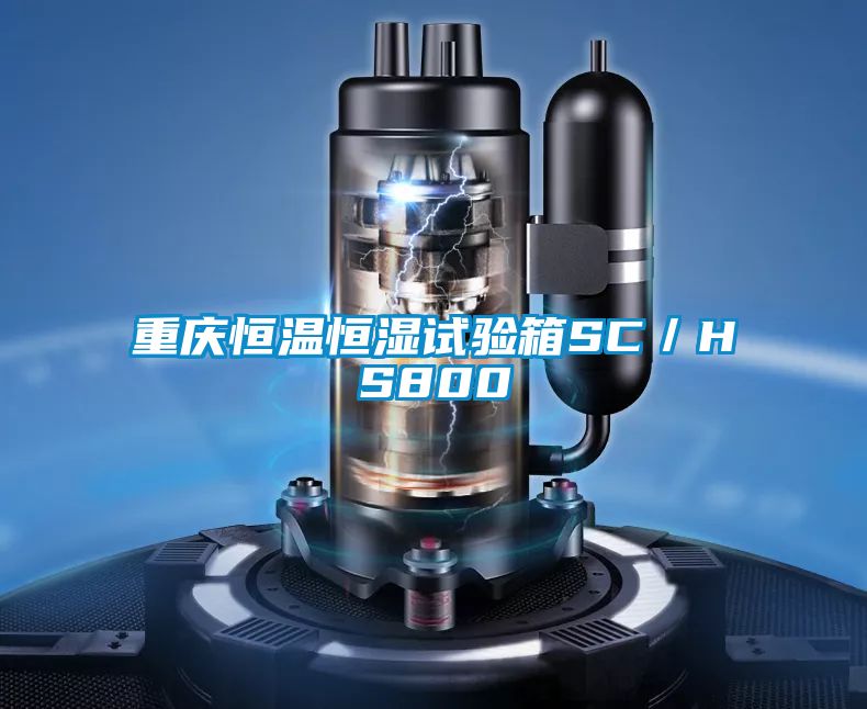 重慶恒溫恒濕試驗(yàn)箱SC／HS800