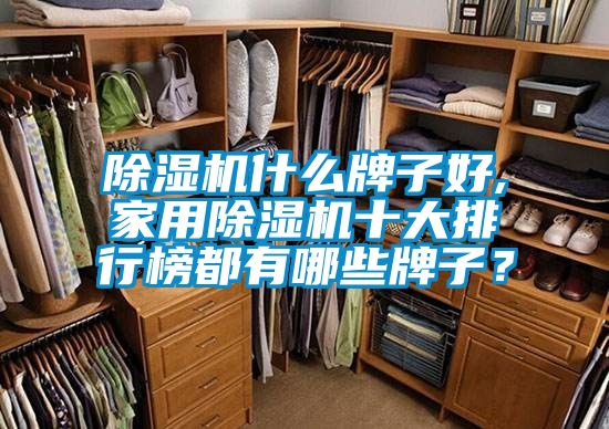 除濕機(jī)什么牌子好,家用除濕機(jī)十大排行榜都有哪些牌子？