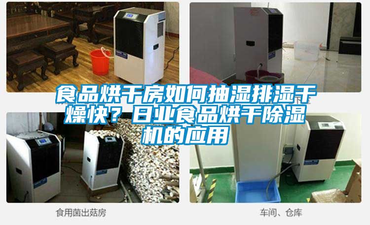 食品烘干房如何抽濕排濕干燥快？日業(yè)食品烘干除濕機(jī)的應(yīng)用