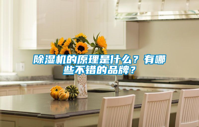 除濕機(jī)的原理是什么？有哪些不錯(cuò)的品牌？