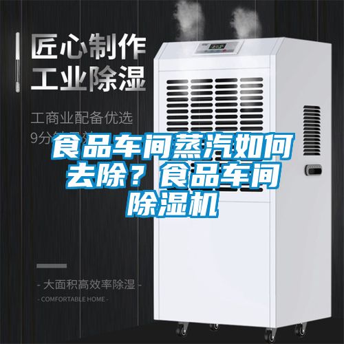 食品車間蒸汽如何去除？食品車間除濕機(jī)