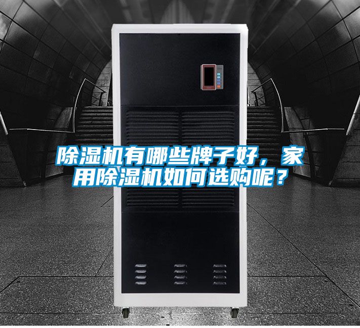 除濕機(jī)有哪些牌子好，家用除濕機(jī)如何選購呢？