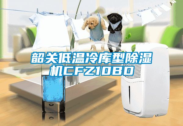 韶關低溫冷庫型除濕機CFZ10BD