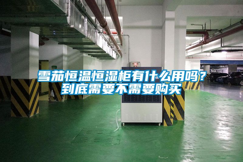 雪茄恒溫恒濕柜有什么用嗎？到底需要不需要購買