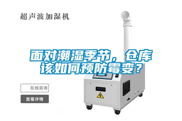 面對潮濕季節(jié)，倉庫該如何預(yù)防霉變？