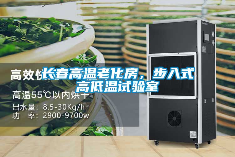 長春高溫老化房，步入式高低溫試驗室