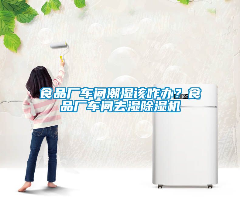 食品廠車間潮濕該咋辦？食品廠車間去濕除濕機