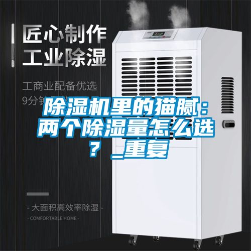 除濕機(jī)里的貓膩：兩個(gè)除濕量怎么選？_重復(fù)
