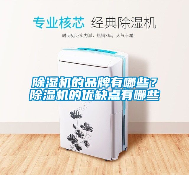 除濕機(jī)的品牌有哪些？除濕機(jī)的優(yōu)缺點(diǎn)有哪些
