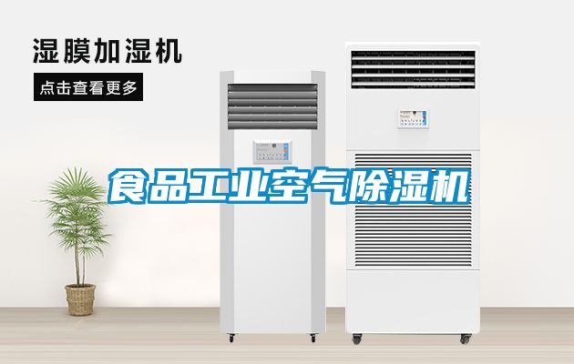 食品工業(yè)空氣除濕機