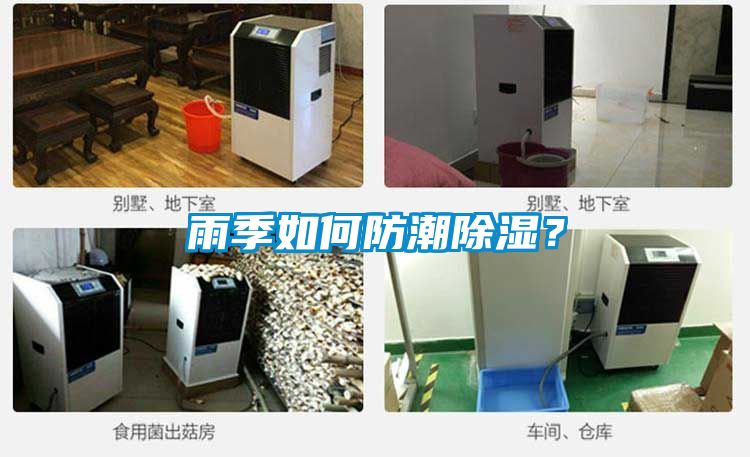 雨季如何防潮除濕？