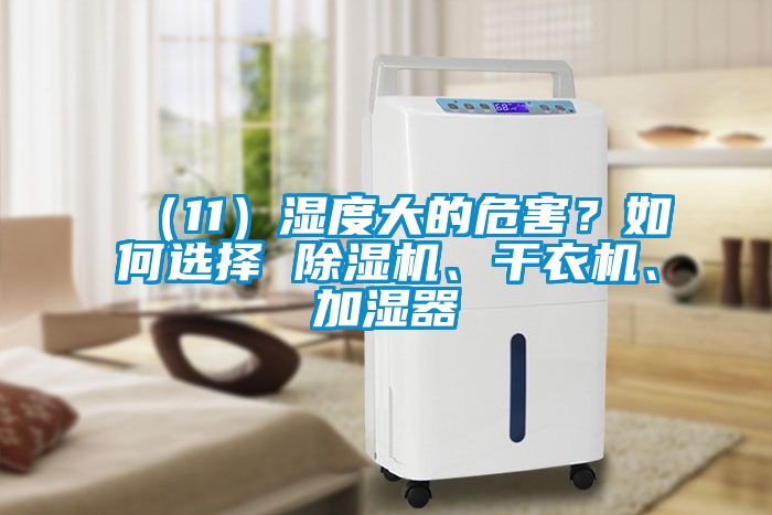 （11）濕度大的危害？如何選擇 除濕機(jī)、干衣機(jī)、加濕器