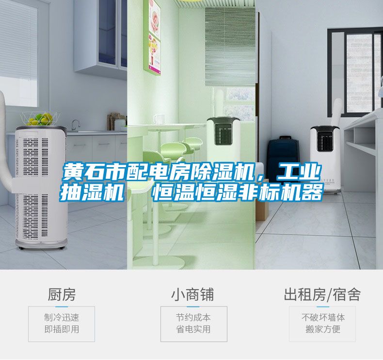 黃石市配電房除濕機，工業(yè)抽濕機  恒溫恒濕非標機器