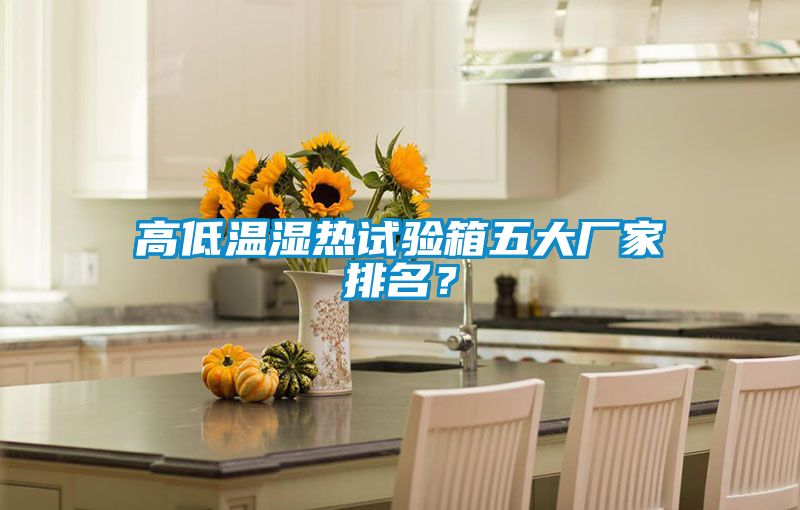 高低溫濕熱試驗(yàn)箱五大廠家排名？