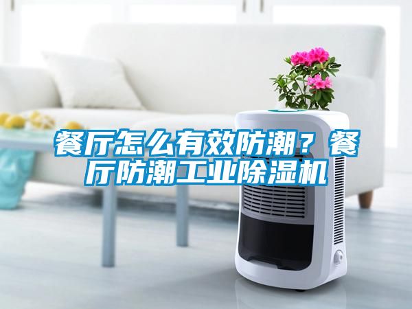 餐廳怎么有效防潮？餐廳防潮工業(yè)除濕機