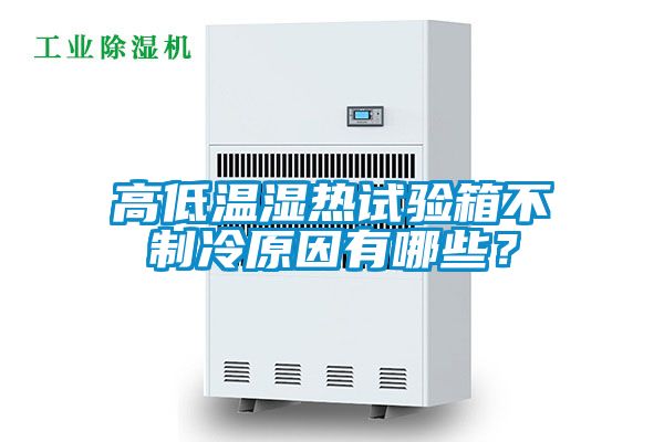 高低溫濕熱試驗(yàn)箱不制冷原因有哪些？