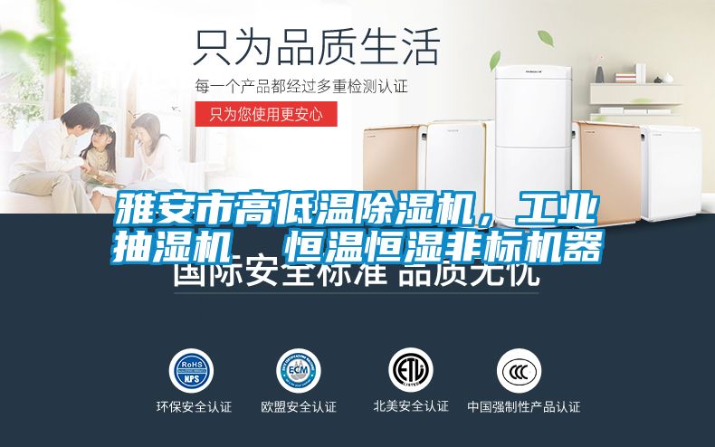 雅安市高低溫除濕機，工業(yè)抽濕機  恒溫恒濕非標機器