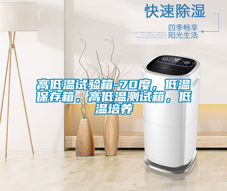 高低溫試驗(yàn)箱-70度，低溫保存箱，高低溫測(cè)試箱，低溫培養(yǎng)