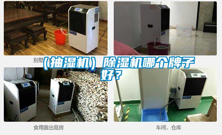 （抽濕機）除濕機哪個牌子好？