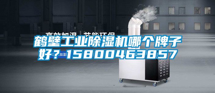 鶴壁工業(yè)除濕機(jī)哪個牌子好？15800463857